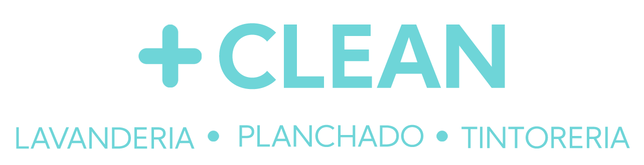 Logo LaundryHome